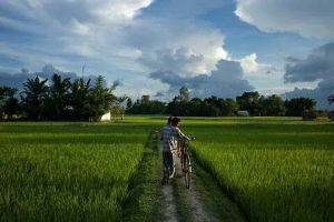 5e2cec7c8e8159c54ff2aed4cbed3ef5